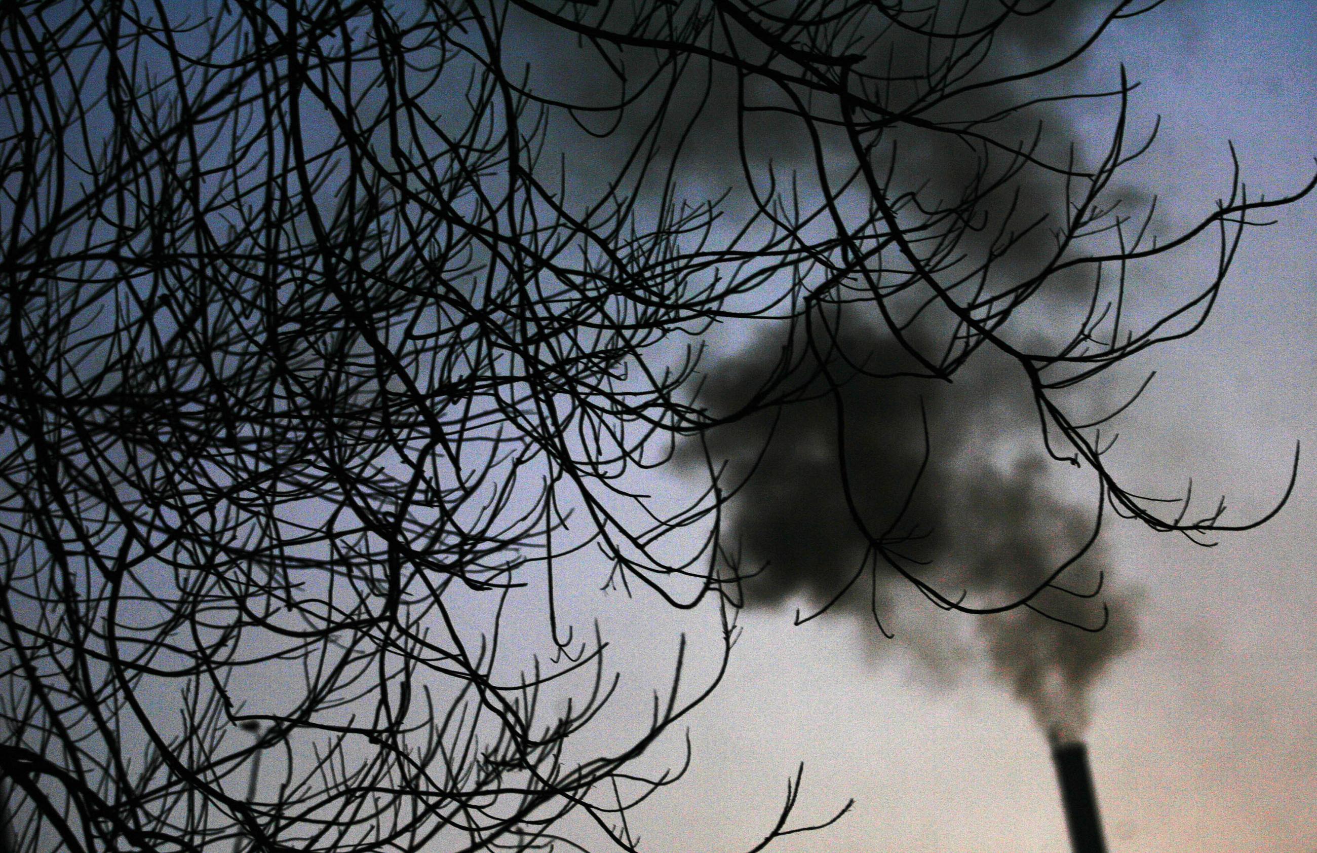 Smoke emitting from a chimney is seen through a leafless tree, in Surat, India, on November 24, 2009. 
