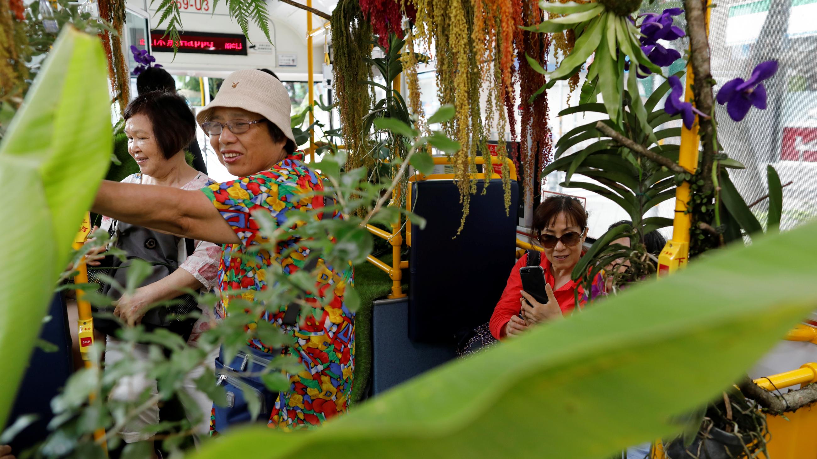 Passengers fill a plant-filled bus, a special route that ran for 5 days, promoting the concept of integrating more green space into cities, in Taipei , Taiwan (2017).