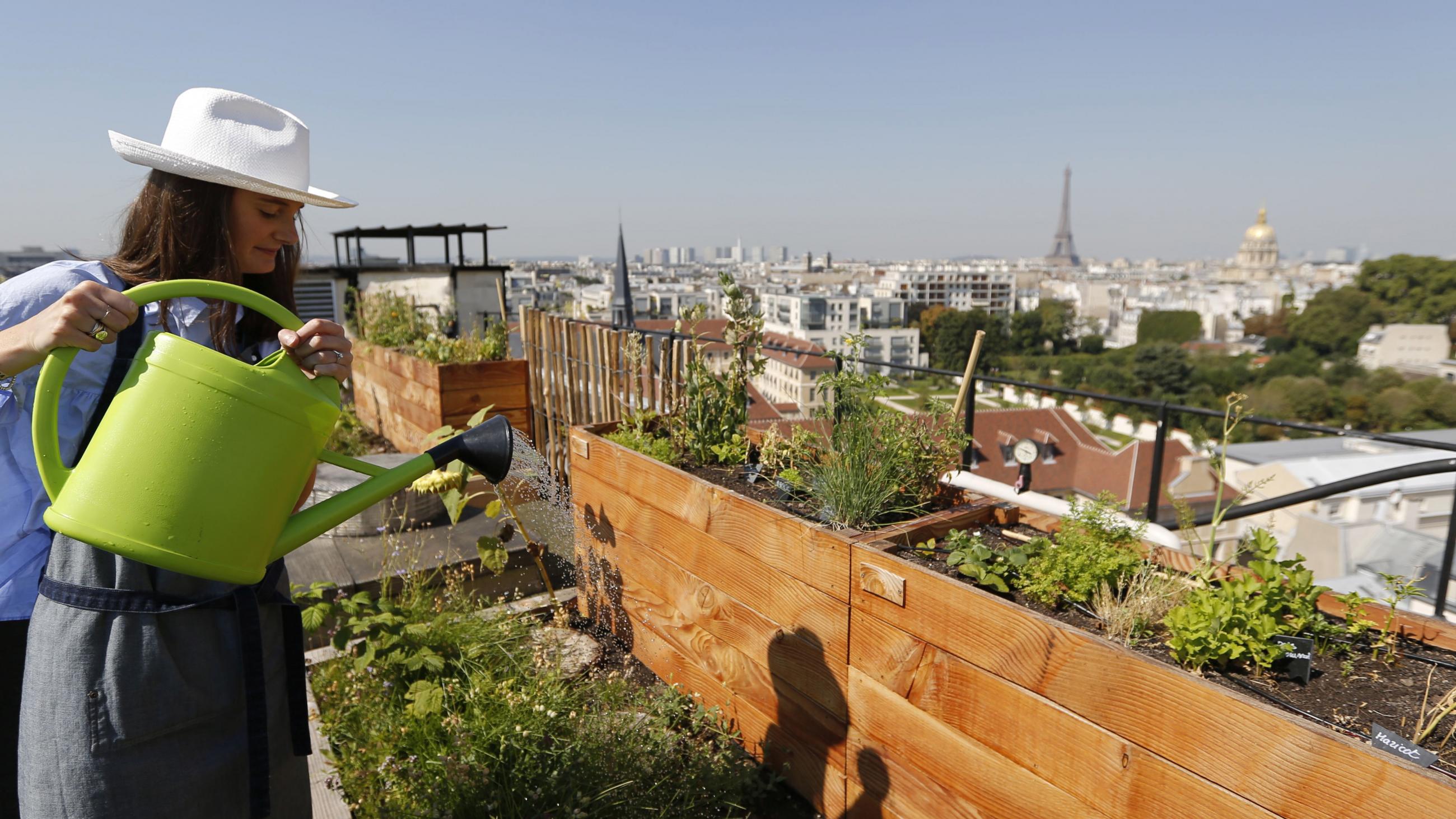 rooftop garden atop the Bon Marche