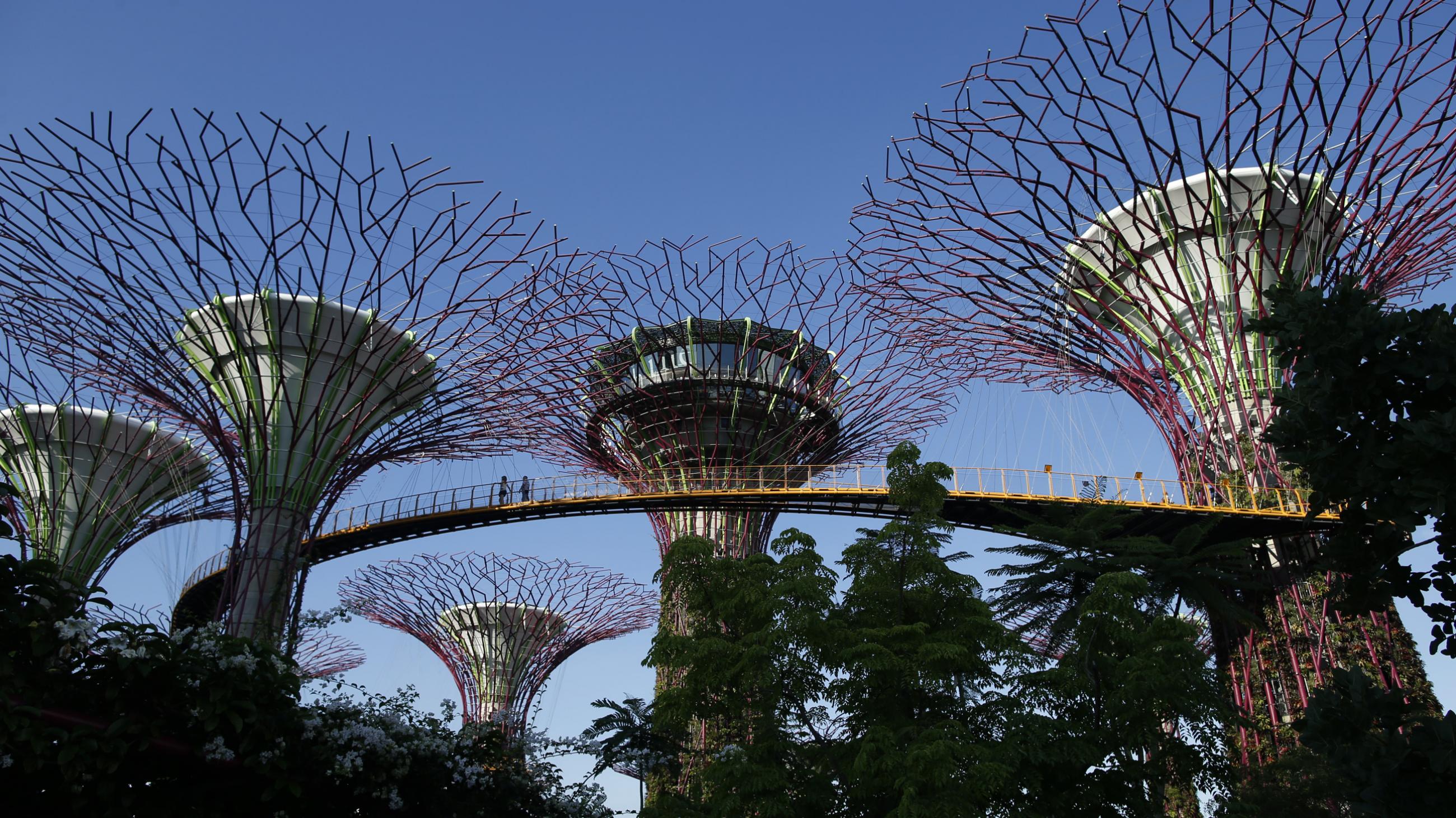 Visitors walk along an elevated walkway connecting giant concrete tree-like structures called Supertrees at Gardens by the Bay in Singapore May 28, 2014.