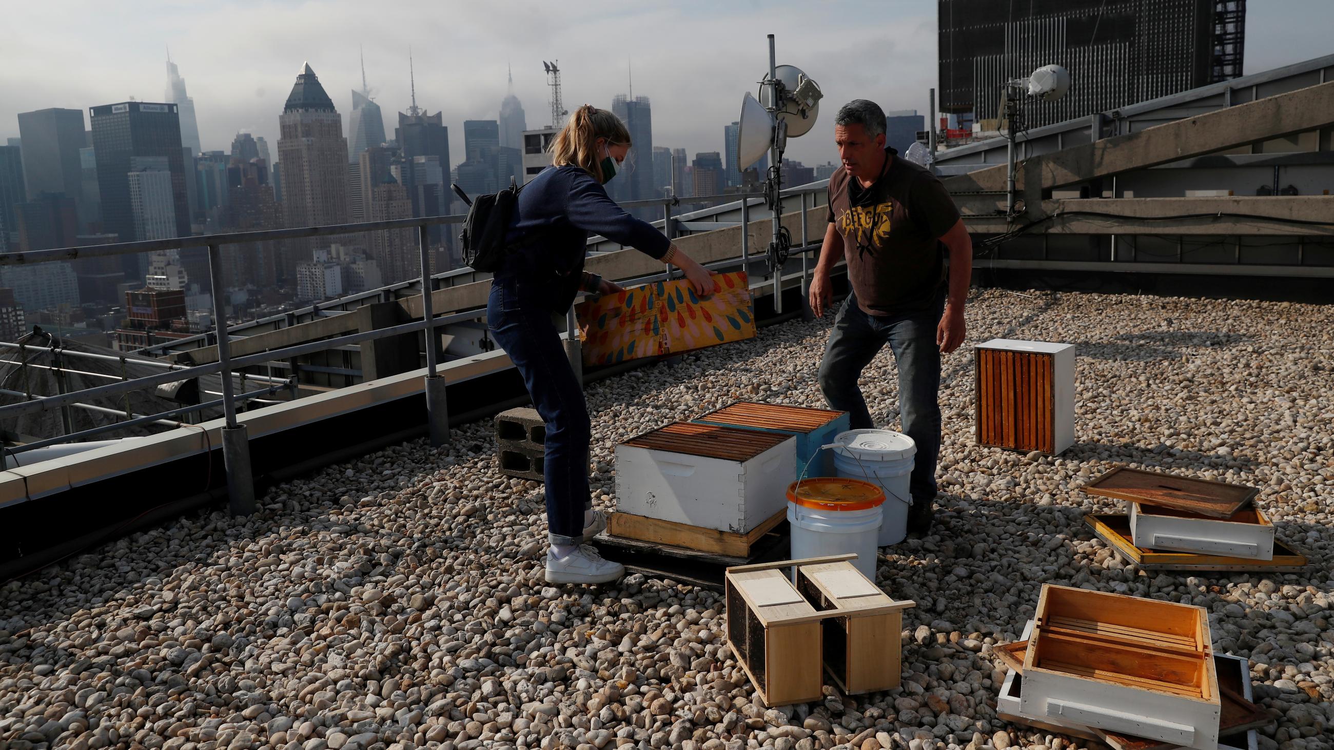 Urban beekeeper Andrew Cote replenishes bee hives on a rooftop building in New York City, U.S. April 9, 2021. REUTERS/Shannon Stapleton