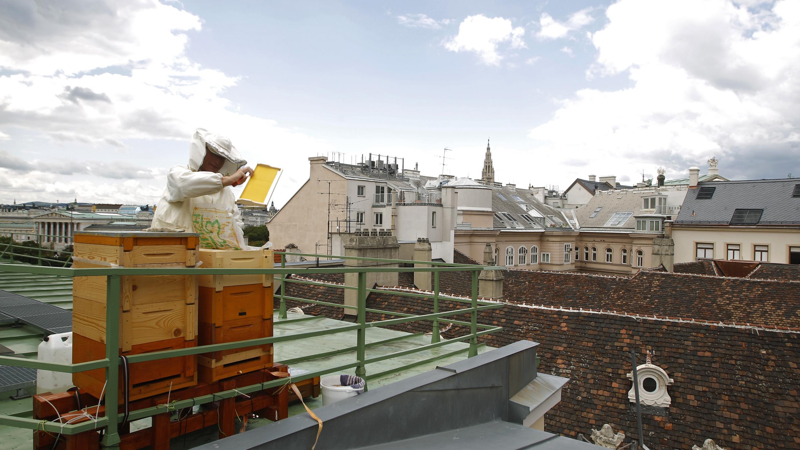 Felix Munk, head of the beekeeper organization Stadtimker, holds a honeycomb next to bee hives at the rooftop of the Austrian chancellery, in Vienna, Austria