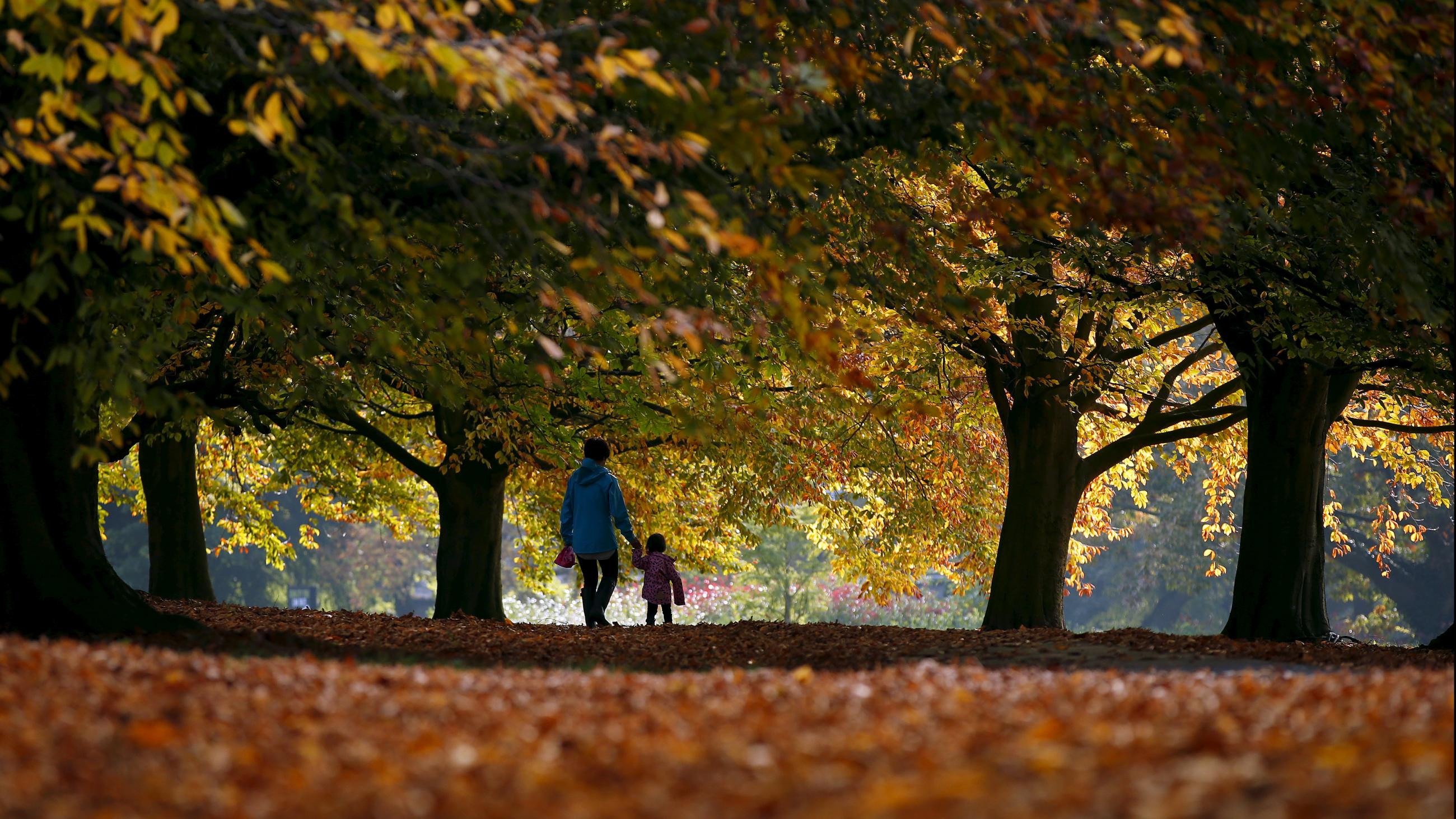 A woman and child walk through fallen leaves in Clarke's Gardens in Liverpool, United Kingdom (2015).