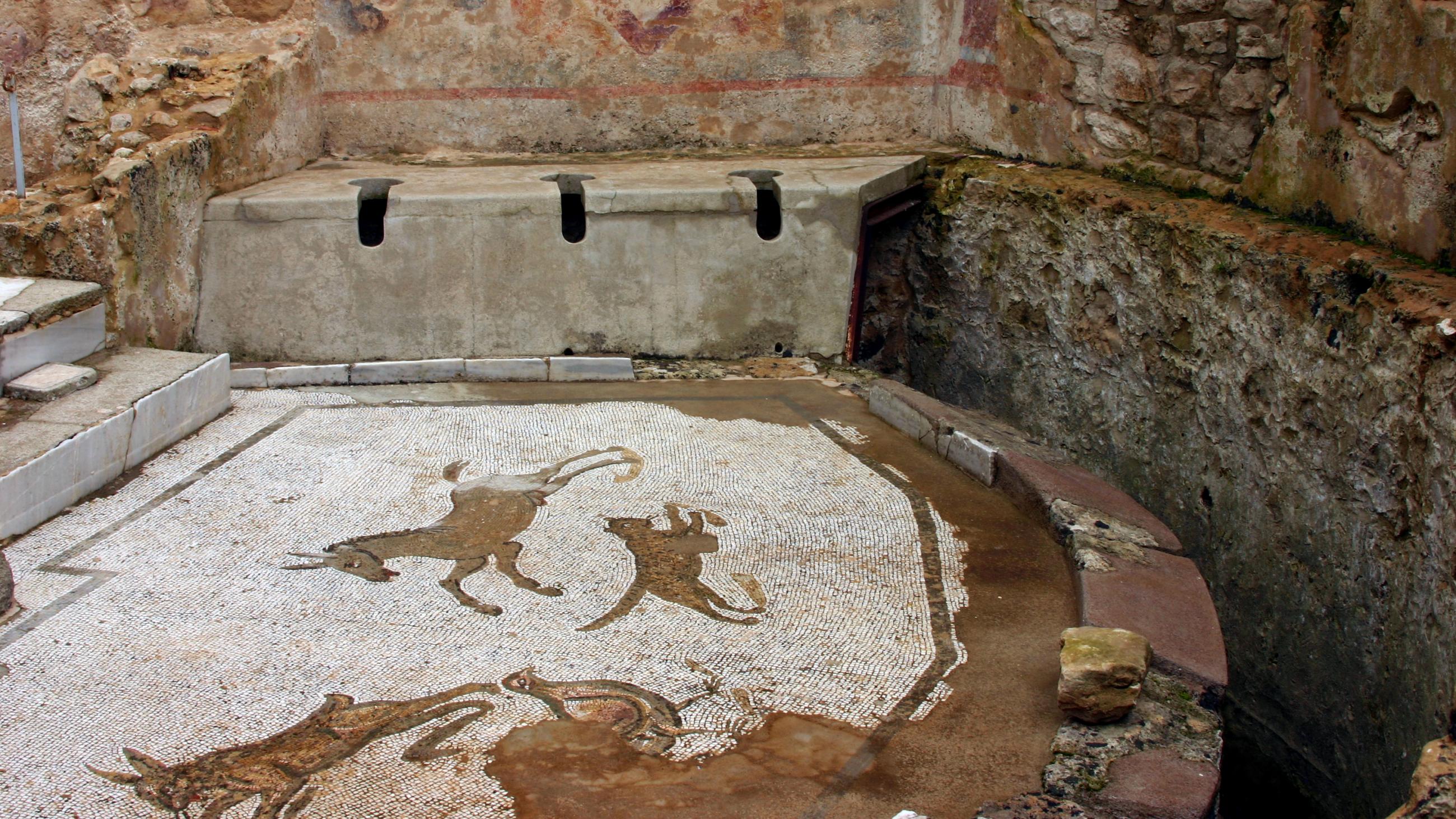 Roman latrine