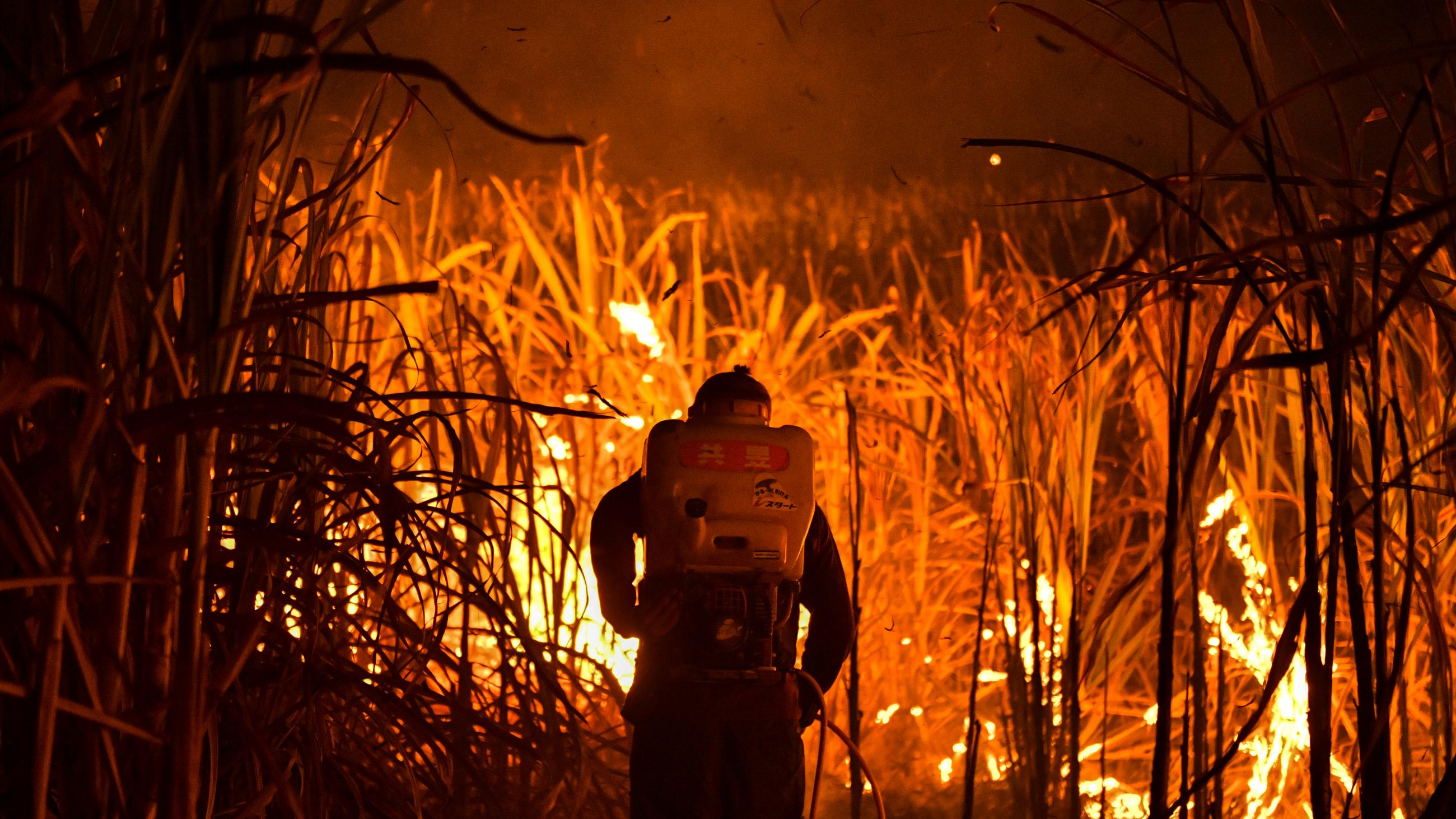 A farmer burns a sugar cane field at night as local growers try to avoid arrest by authorities who banned the practice in an effort tp curb smog in Suphan Buri province, north of Bangkok, Thailand, on January 20, 2020