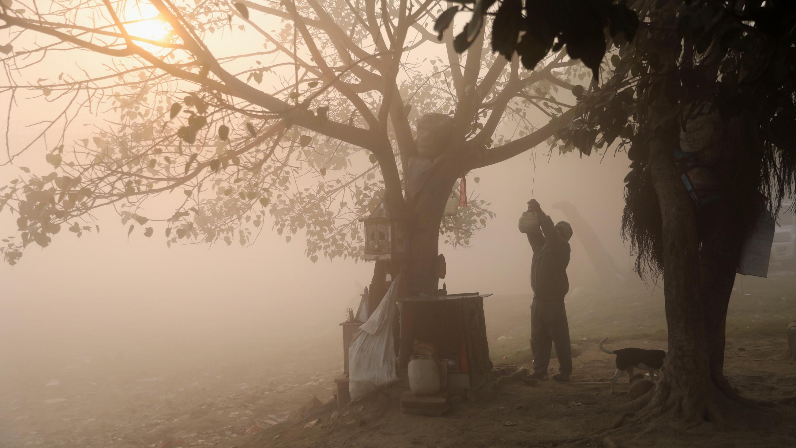 a man adjusts a string tied to a tree on the banks of the Yamuna river on a smoggy morning in New Delhi, India