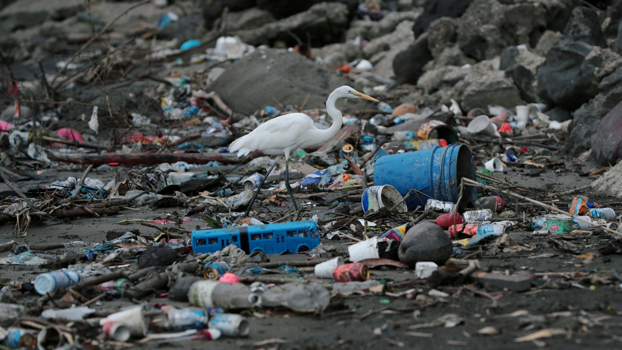 Panama City, Panama In 2019, Panama became the first country in Central America to ban all single-use plastics in a bid to curb pollution on its beaches.     Plastic waste is seen on the shore of a beach in Panama City, Panama, on July 19, 2019. 