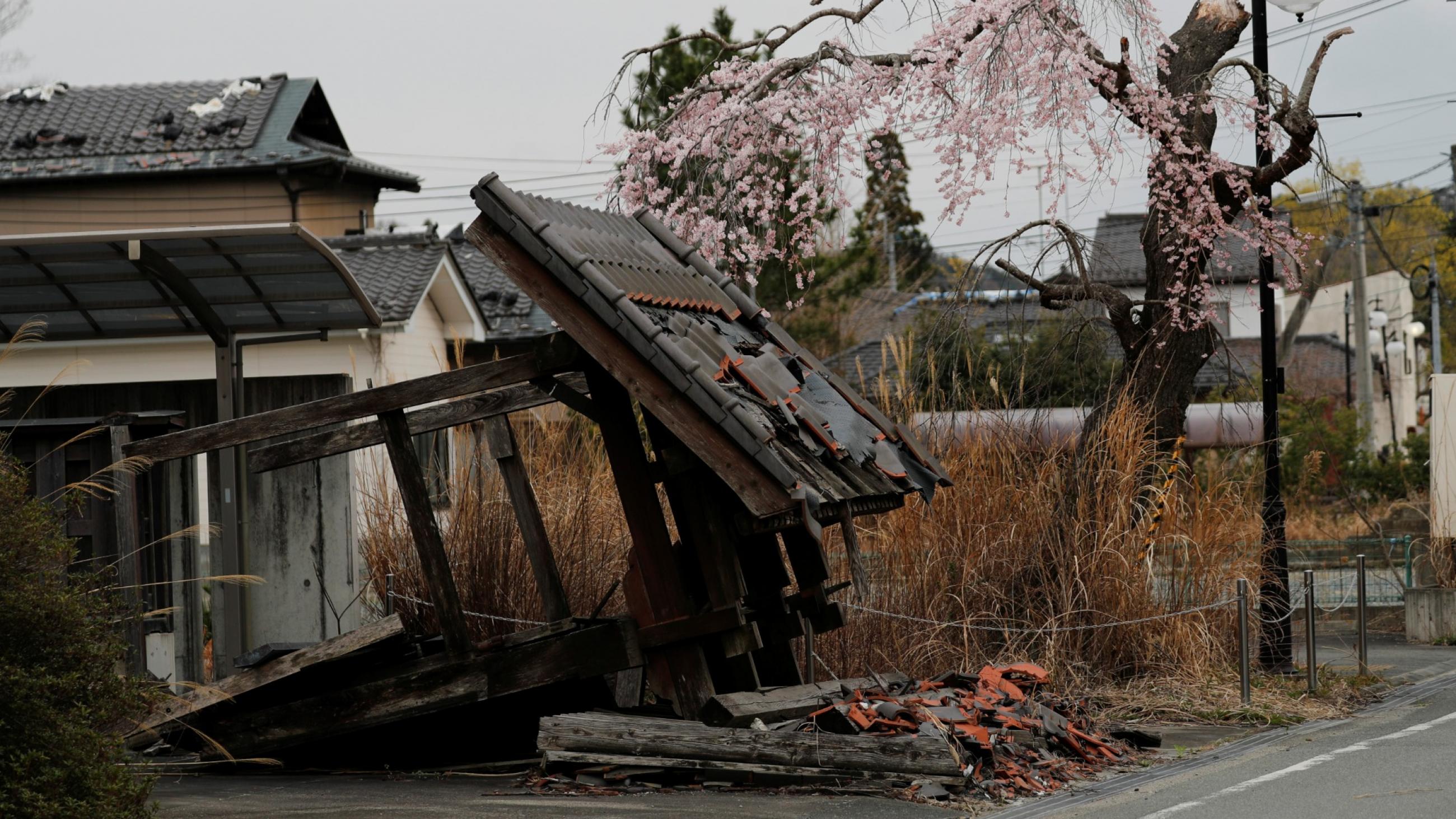 A traditional-style Japanese house stand with its roof caved in on a grey day. Next to the house stands a cherry blossom tree blooming with pink flowers and an ornate lamp post.