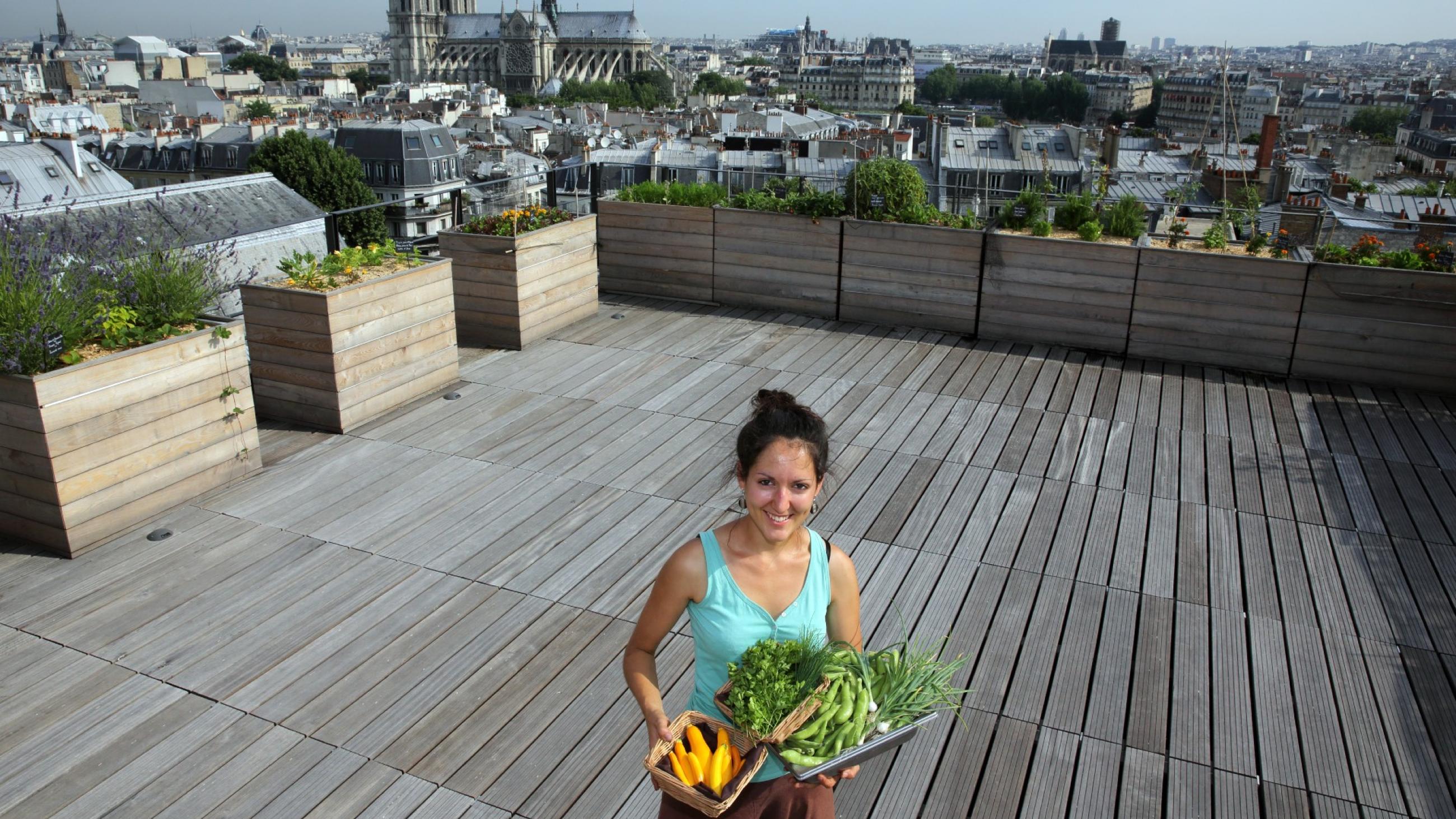 Sibylle, a biotechnology engineering student, poses with Orgeval yellow courgettes, chives, parsley, broad beans, and spring onions from the vegetable kitchen garden installed on the roof of the Maison de la Mutualité building in Paris, on July 23, 2013