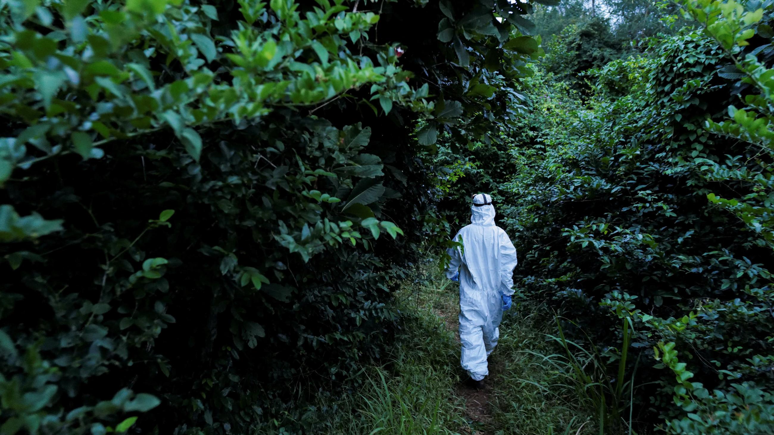 A member of a research team investigating emerging zoonotic diseases walks towards a bat breeding shed at the Accra Zoo in Accra, Ghana, on August 19, 2022.