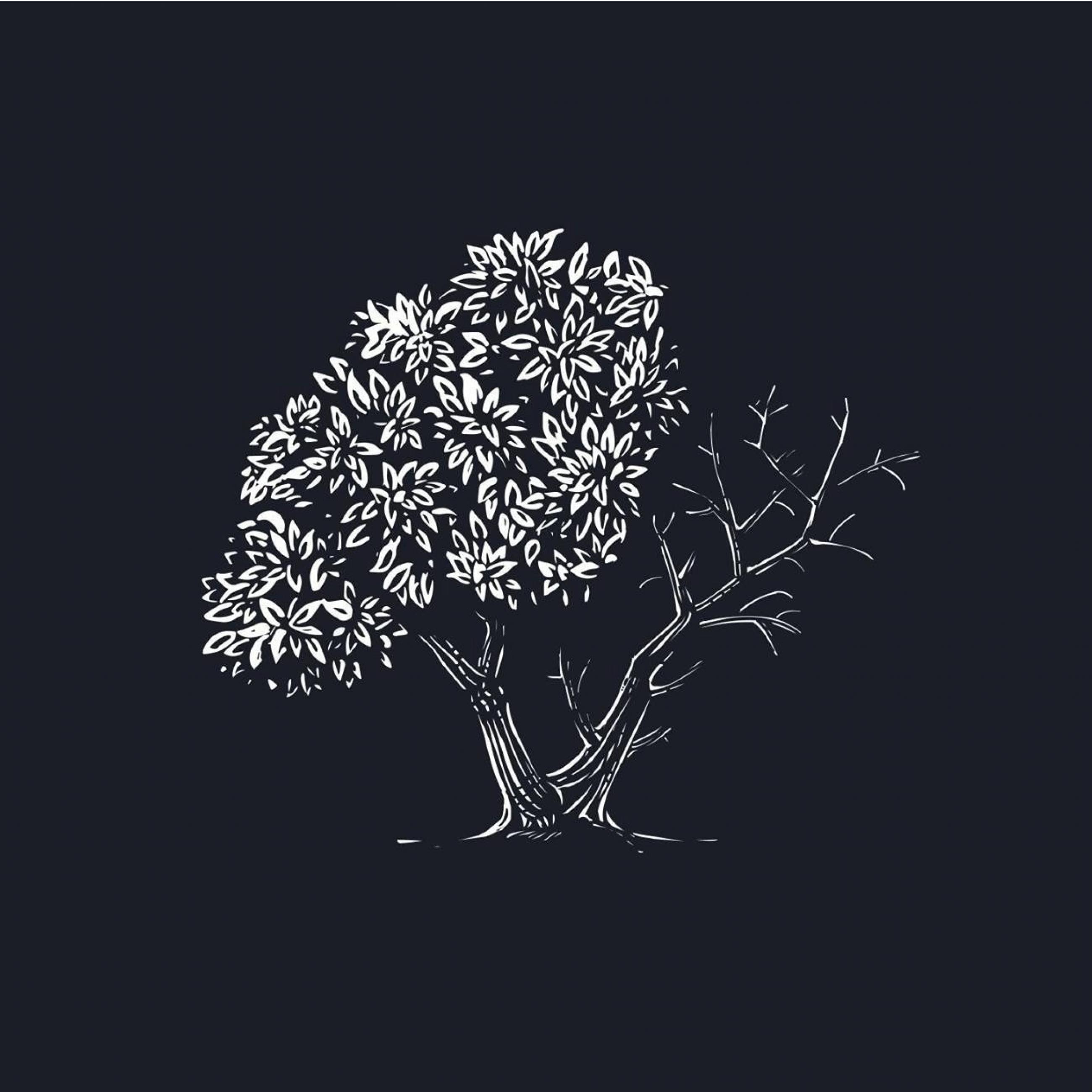 a sketch of a tree done in white is seen against a deep navy blue blackground