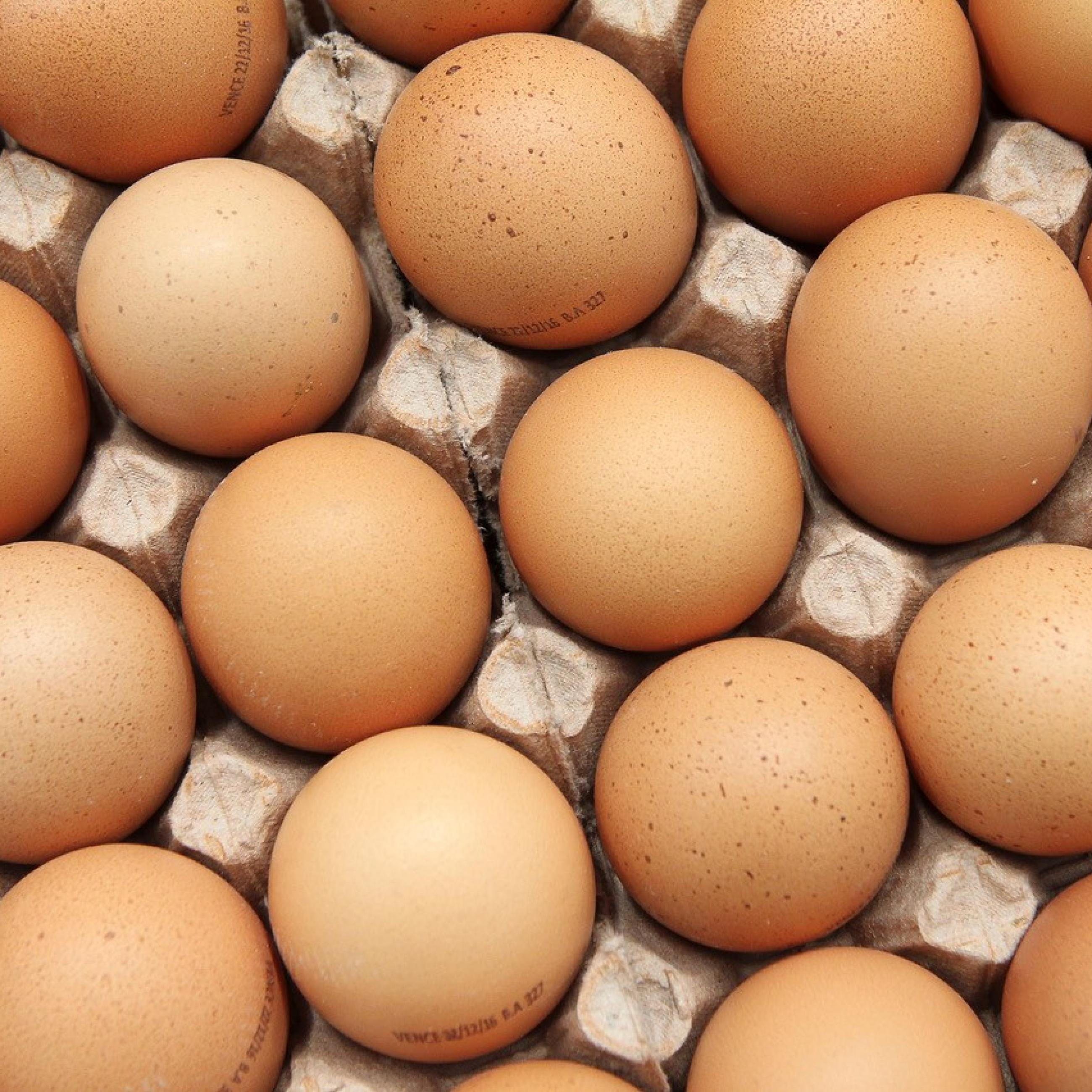 Several brown eggs are shown in a cardboard egg carton.