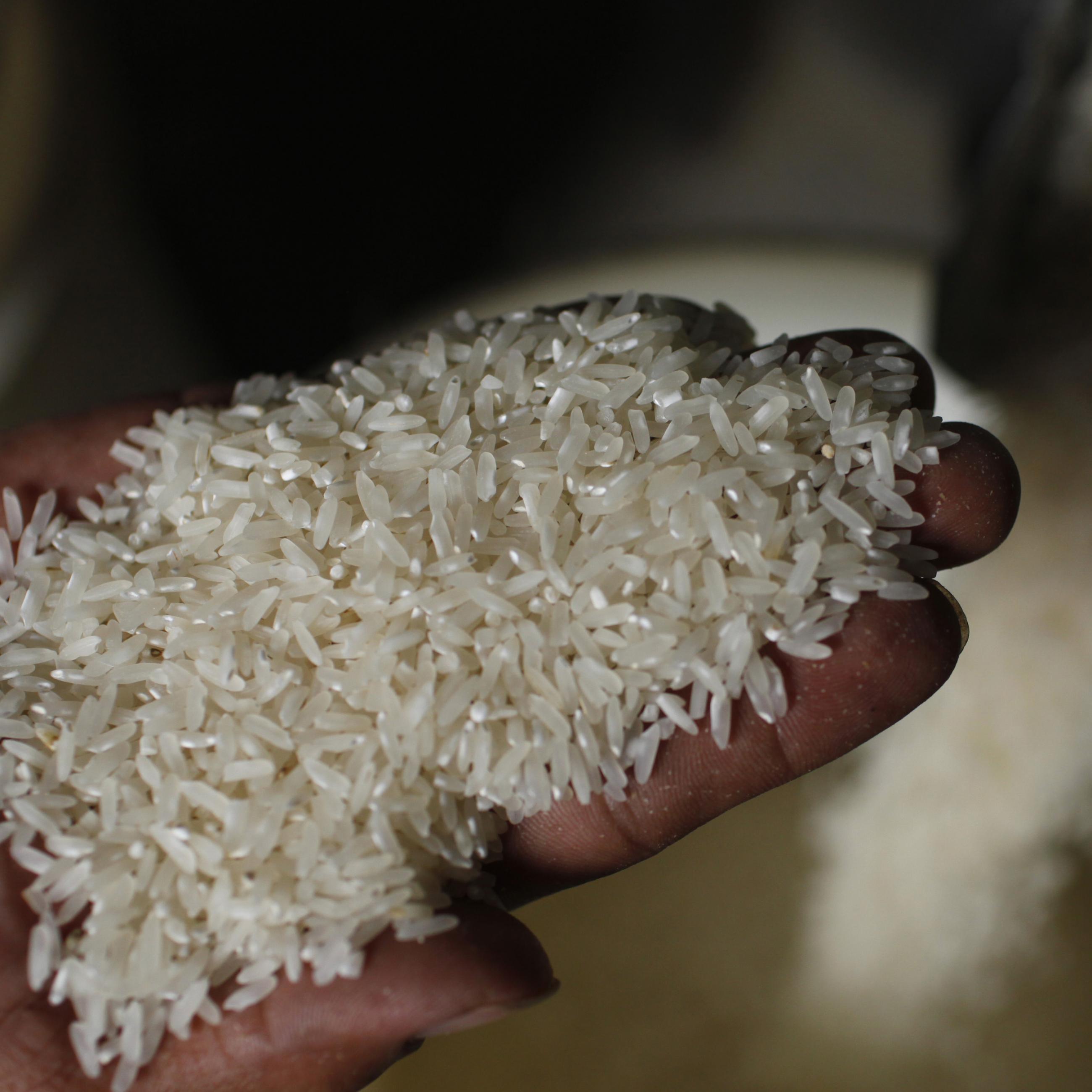 A worker holds up a handful of rice grains at a rice mill. 