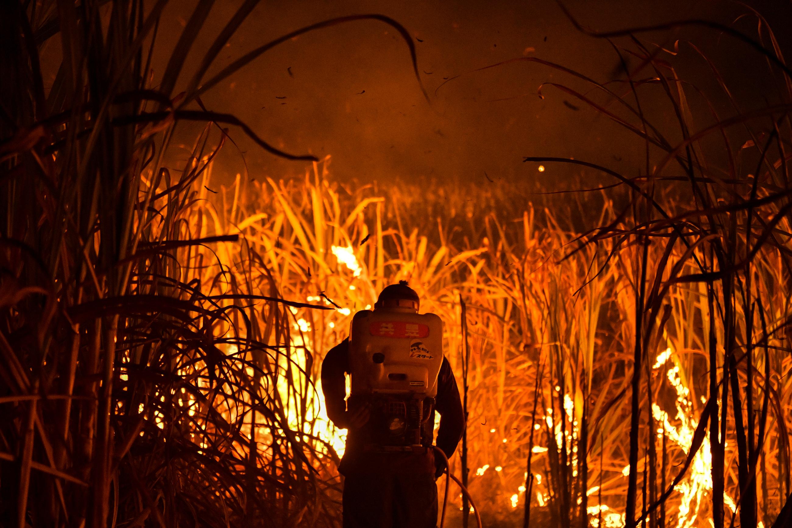 A farmer burns a sugar cane field at night as local growers try to avoid arrest by authorities who banned on the practice to curb smog in Suphan Buri province, Thailand, on January 20, 2020.