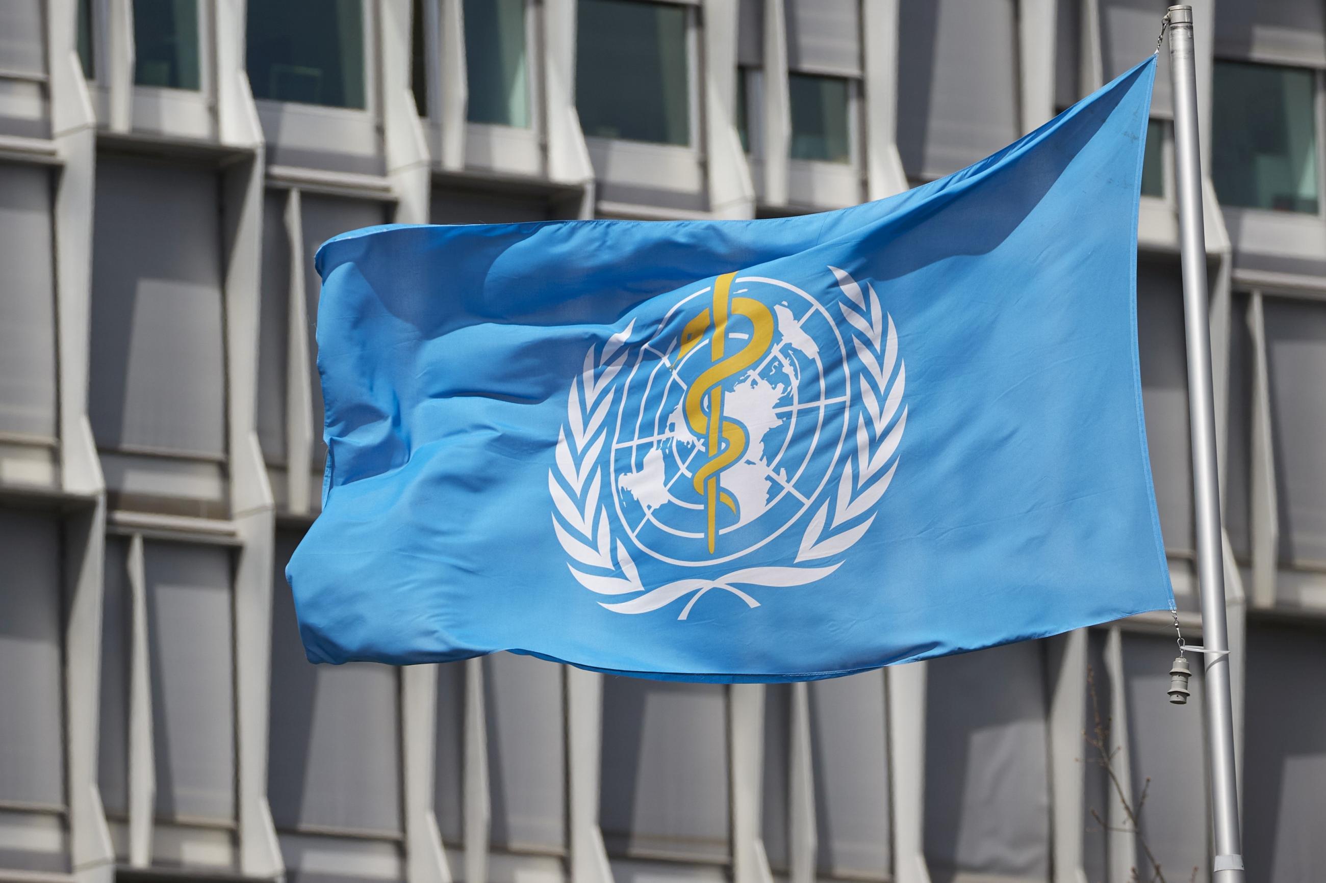 A flag is pictured outside a building of the World Health Organization (WHO). 