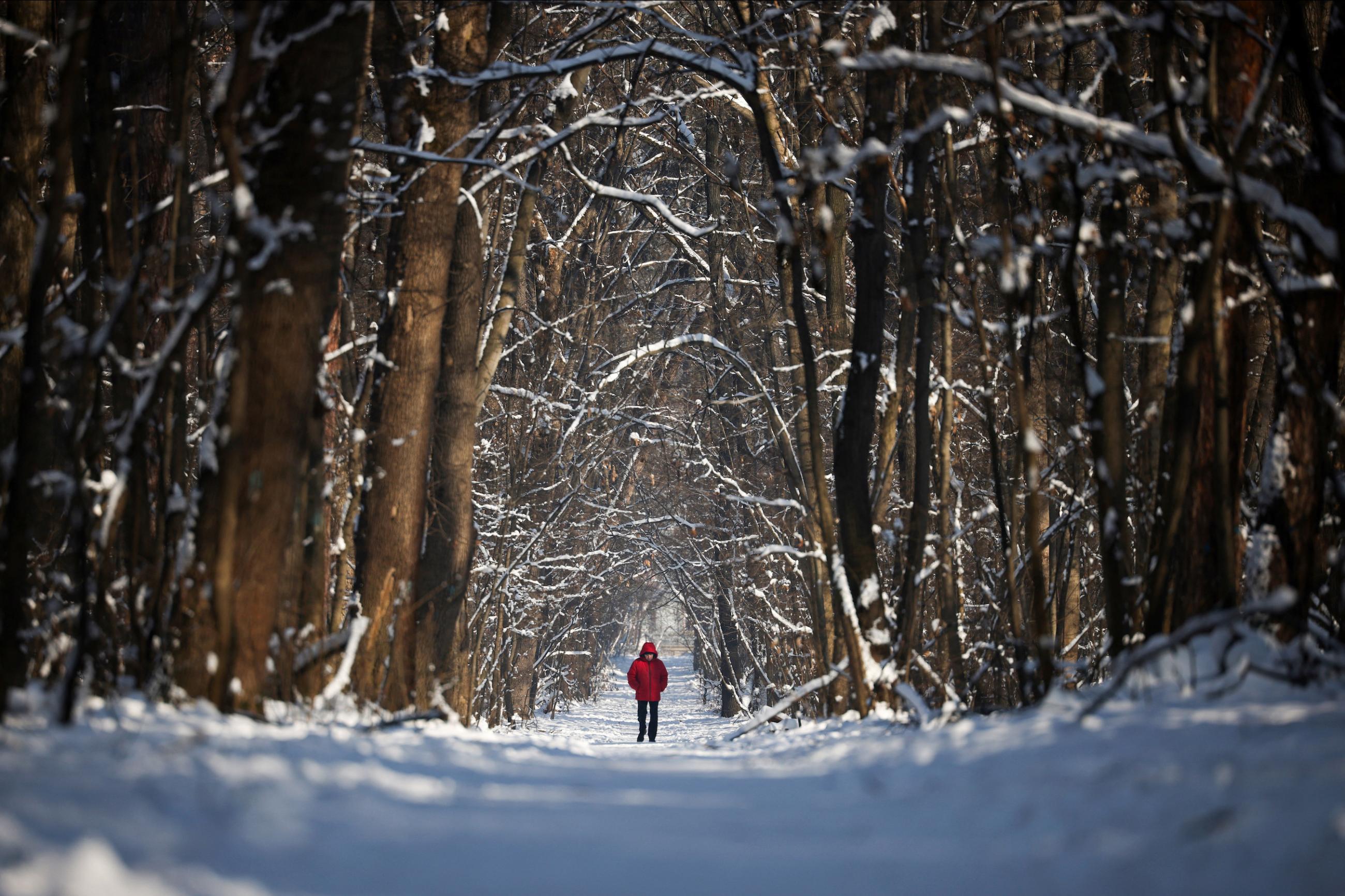 A man walks in a snow covered park in Sofia, Bulgaria, January 23, 2024. Bulgaria witnessed higher excess mortality rates during the pandemic, according to a new study of global life expectancy. 