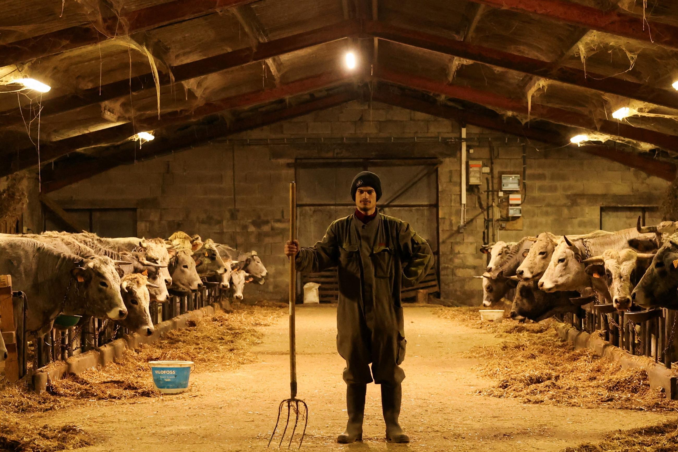 Farmer Marresquete Nolan, 20, poses for a portrait on a cattle farm.