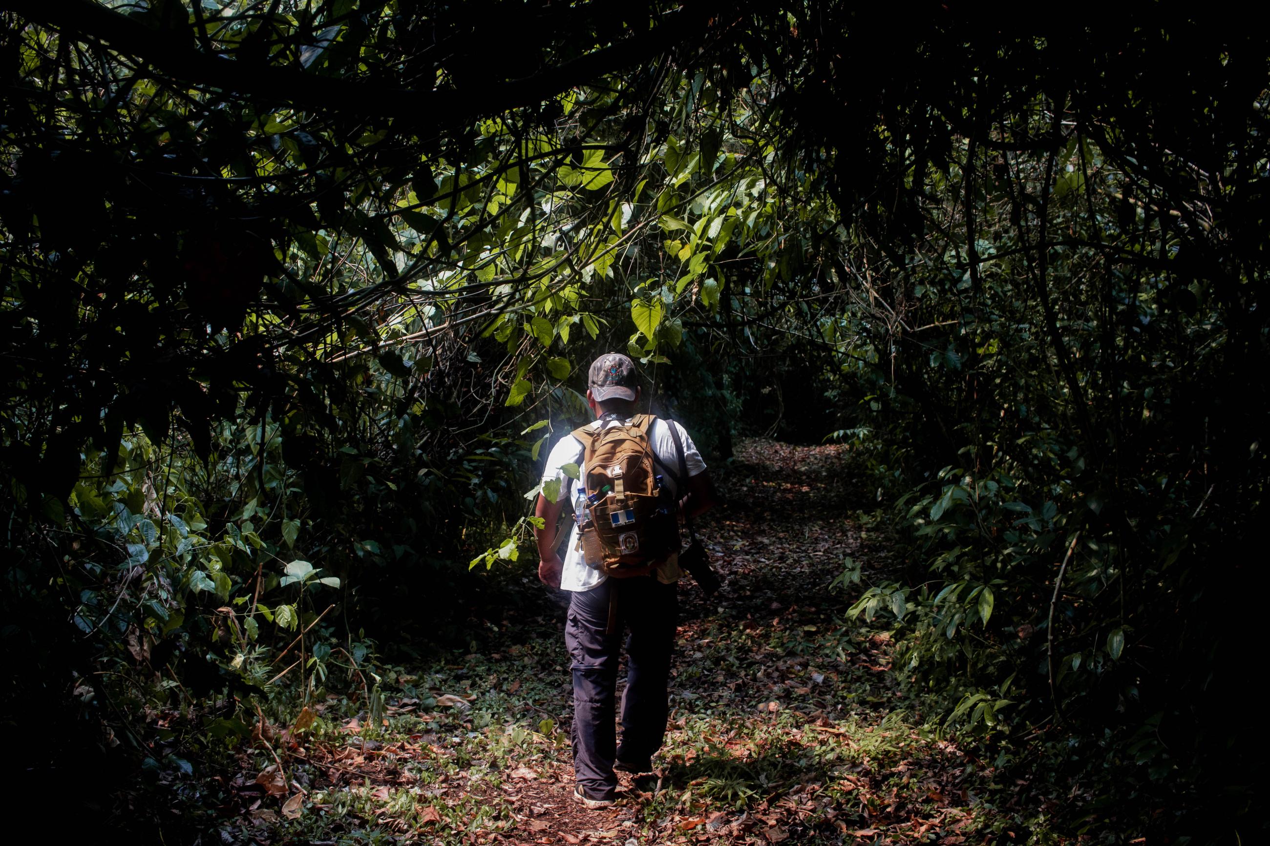 A community member and tour guide promoting ecotourism walks through the rainforest.