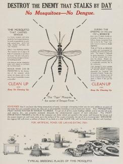 Photo shows a poster with the bold title “Destroy the enemy that stalks by day.” A large detailed picture of the mosquito is the central artistic element in the poster. 