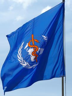 The photo shows the blue flag billowing against a clear blue sky. 