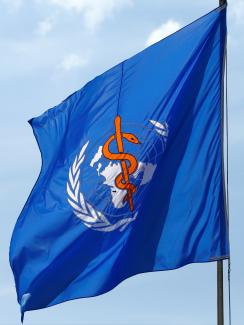 A WHO flag is pictured between rounds of the election of the new Director General of the World Health Organization (WHO) during the 70th World Health Assembly at the United Nations in Geneva, Switzerland, May 23, 2017. 