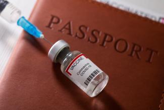 A syringe and a vial labelled "coronavirus disease (COVID-19) vaccine" are placed on a passport in this illustration taken April 27, 2021.