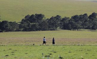 As the new Omicron variant spreads in South Africa, women walk across a green field, holding a face mask, in Dutywa, in the Eastern Cape province, South Africa, on November 29, 2021. 