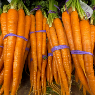 Fresh orange carrots lie in bunches side by side for sale at a grocery store in Del Mar, California, on June 3, 2020.