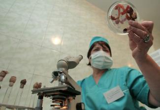 A laboratory worker in blue scrubs holds samples of poultry entrails to test them for bird flu in a laboratory in the eastern Ukrainian city of Donetsk December 7, 2005.