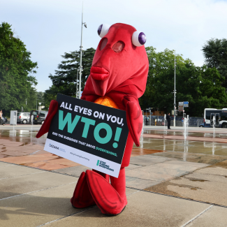 Finley the fish poses during World Ocean Day ahead of the World Trade Organization Ministerial Conference (MC12) protesting harmful fisheries subsidies, in Geneva, Switzerland, on June 8, 2022. 