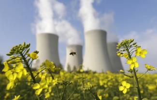 Concrete nuclear reactor towers bellowing pillars of white smoke stand against a blue sky. In the foreground a bee flits between bright yellow flowers atop leafy green stems