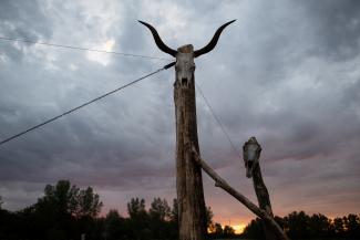 A horned animal skull fixed on a wooden post is seen against the backdrop of a sunset in Jaszszentlaszlo, Hungary