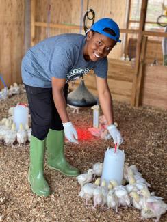 Adda Ireba will be among the first graduates of Rwanda's forward-thinking new university that's changing the face of agriculture. In the photo she is dressed in a t-shirt and ddark pants and green plastic boots and is feeding chickens in a barn.