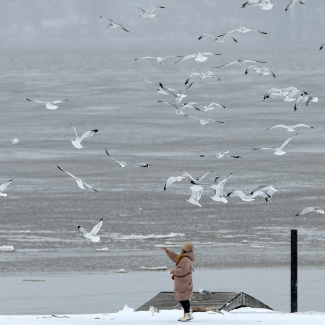 A woman in a hat and tan down jacket feeds gulls along the Hudson River shore during a winter storm in Nyack, New York, on January 29, 2022. 