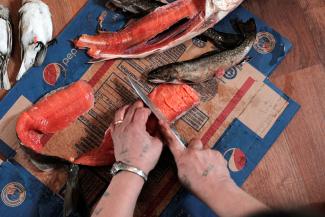 Katie Winters, 54, scores Arctic char to make pitsik (dried fish), at her home in Nain, Newfoundland and Labrador, Canada, on April 20, 2022. 