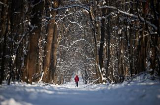 A man walks in a snow-covered park in Sofia, Bulgaria, January 23, 2024. Bulgaria witnessed higher excess mortality rates during the pandemic, according to a new study of global life expectancy.  