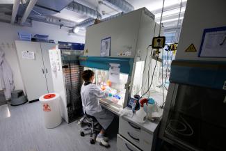 An employee of the vaccine company Bavarian Nordic, which has approval to develop smallpox vaccines, works in a laboratory.