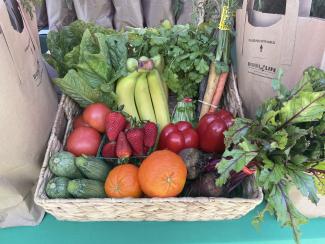 The produce selection for a Growing Together farm bag. 