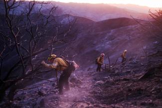Members of a CalFire crew work to mop up hotspots from the burn scar of the Palisades Fire near Mulholland Drive in Los Angeles, California, U.S., January 15, 2025.