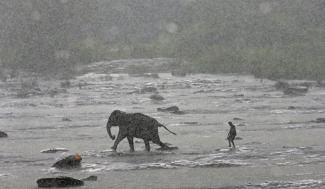 A mahout (an elephant keeper) walks with an elephant during a daily swim in a River at Pinnawal elephant orphanage near Pinnawala village in Rambukkana, Sri Lanka October 5, 2017. 