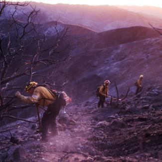 Searching for Elderly Patients After the Los Angeles Wildfires