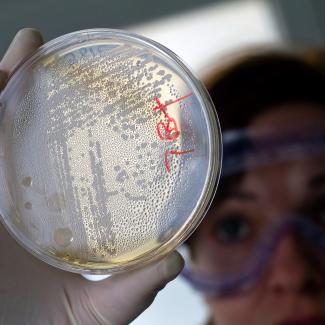 Mirror Life: Addressing a Potential Biothreat