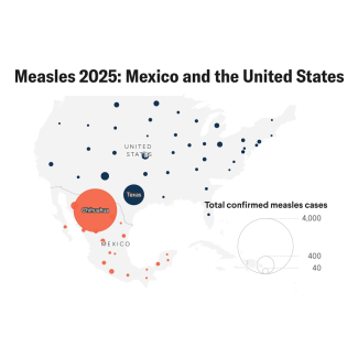 Measles Takes Root in Mexico 
