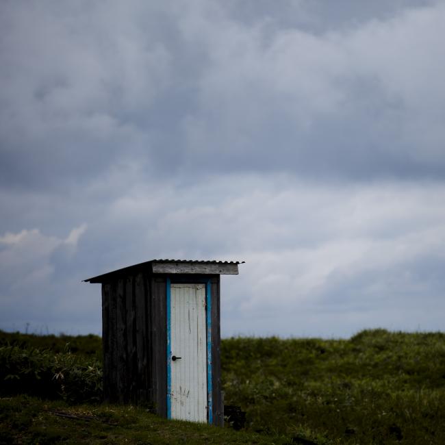 Access to toilets globally