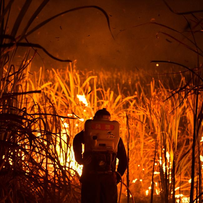 Deaths related to the use of fire to clear land