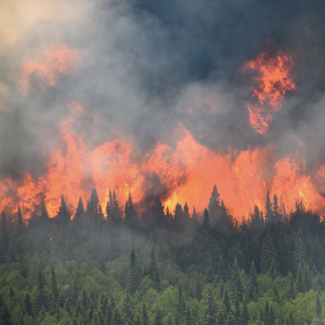 Connecting the Dots Between Climate and Air Quality