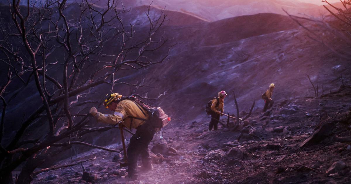 Searching for Elderly Patients After the Los Angeles Wildfires